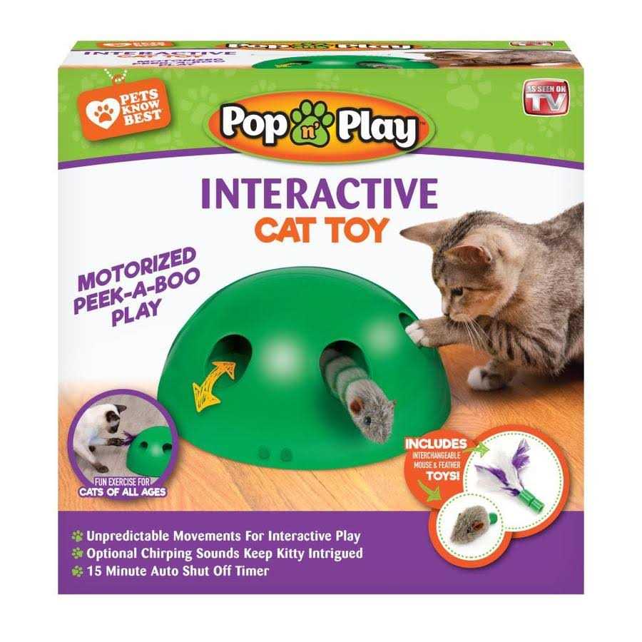Cat Toy B654