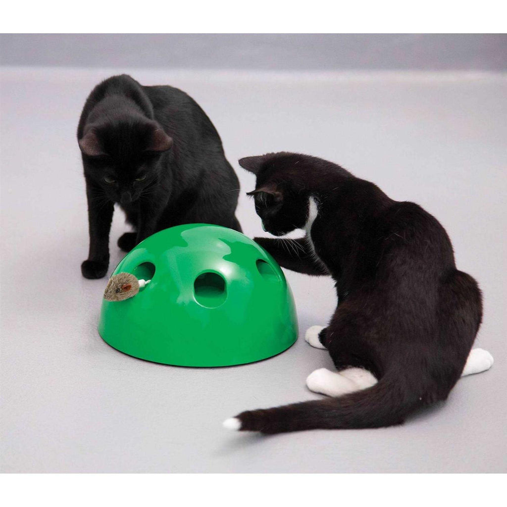 Cat Toy B654