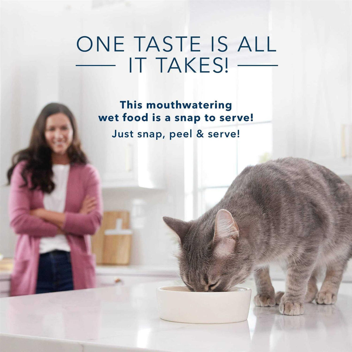 Adult Cuts in Gravy Wet Cat Food Y615841