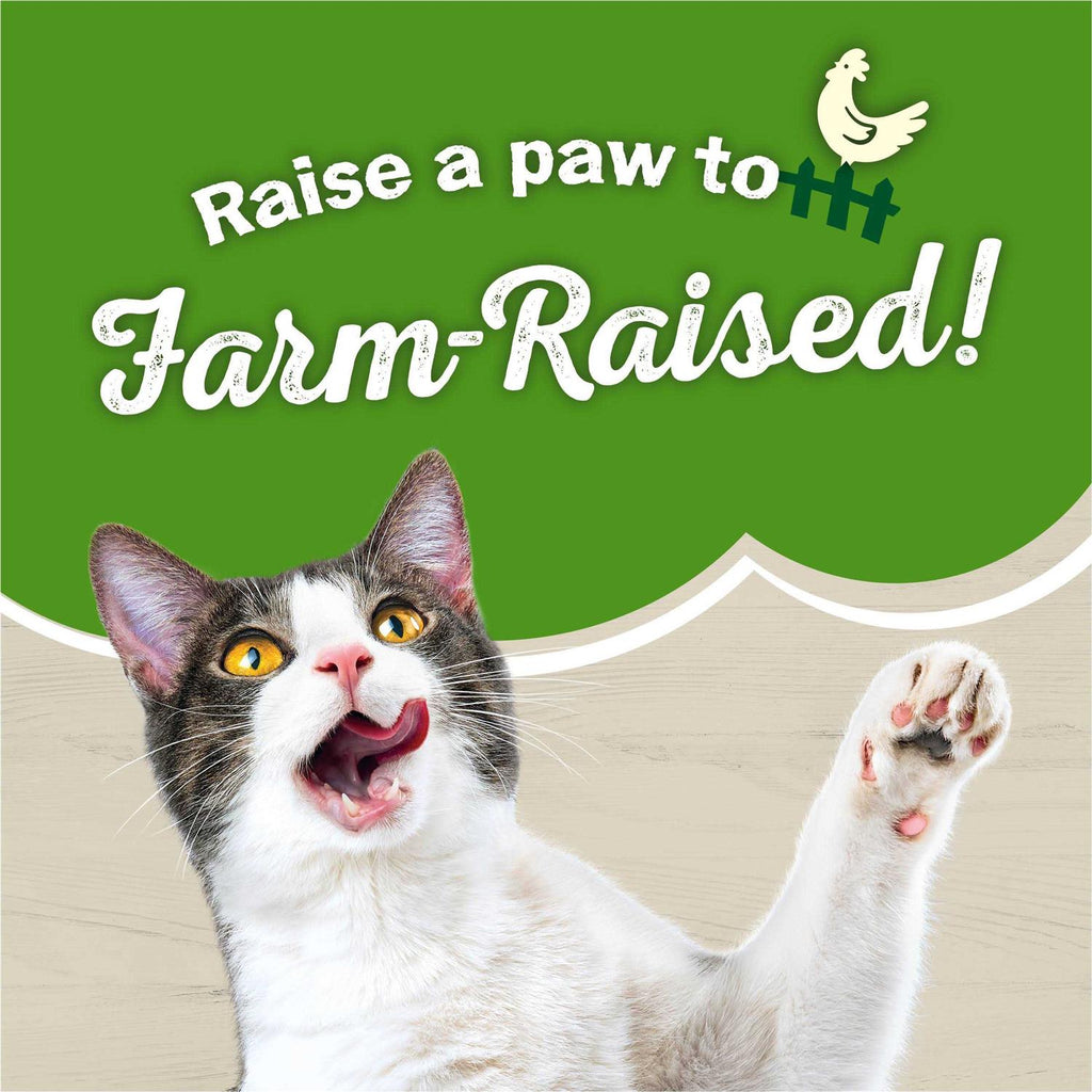 Dry Cat Food with Chicken B95848
