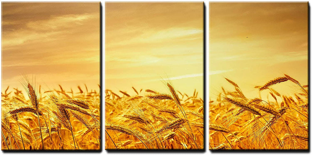 Orange X3 Panels Wall Art G245