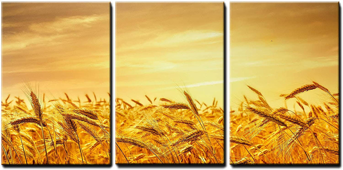 Orange X3 Panels Wall Art G245