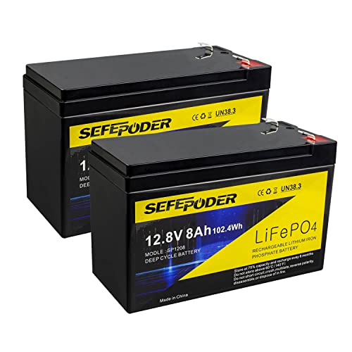 2 Pack 12V 15Ah LiFePO4 Deep Cycle Rechargeable Battery with 16A BMS M762