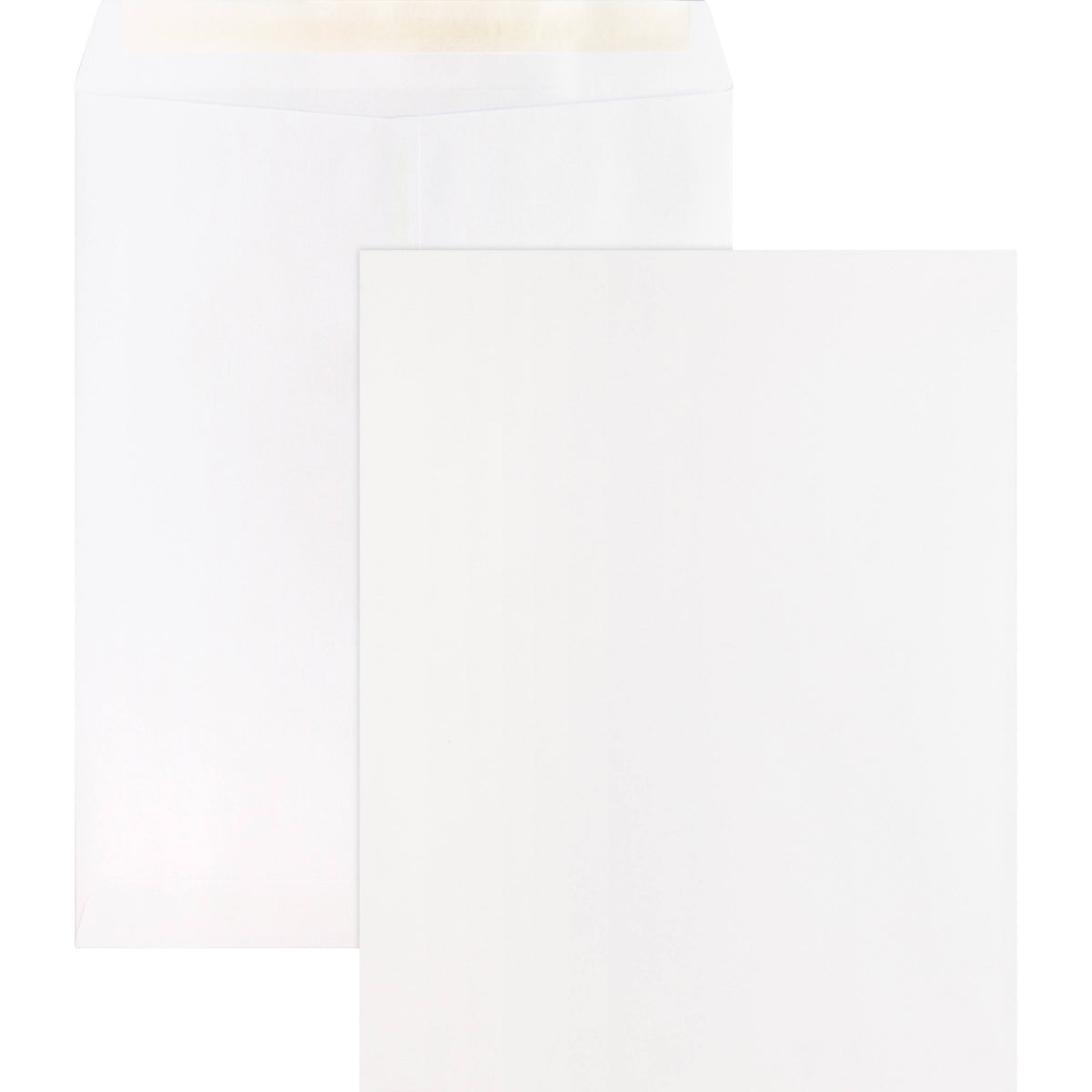 White Removable Strip Catalog Envelopes, 100 count C81613