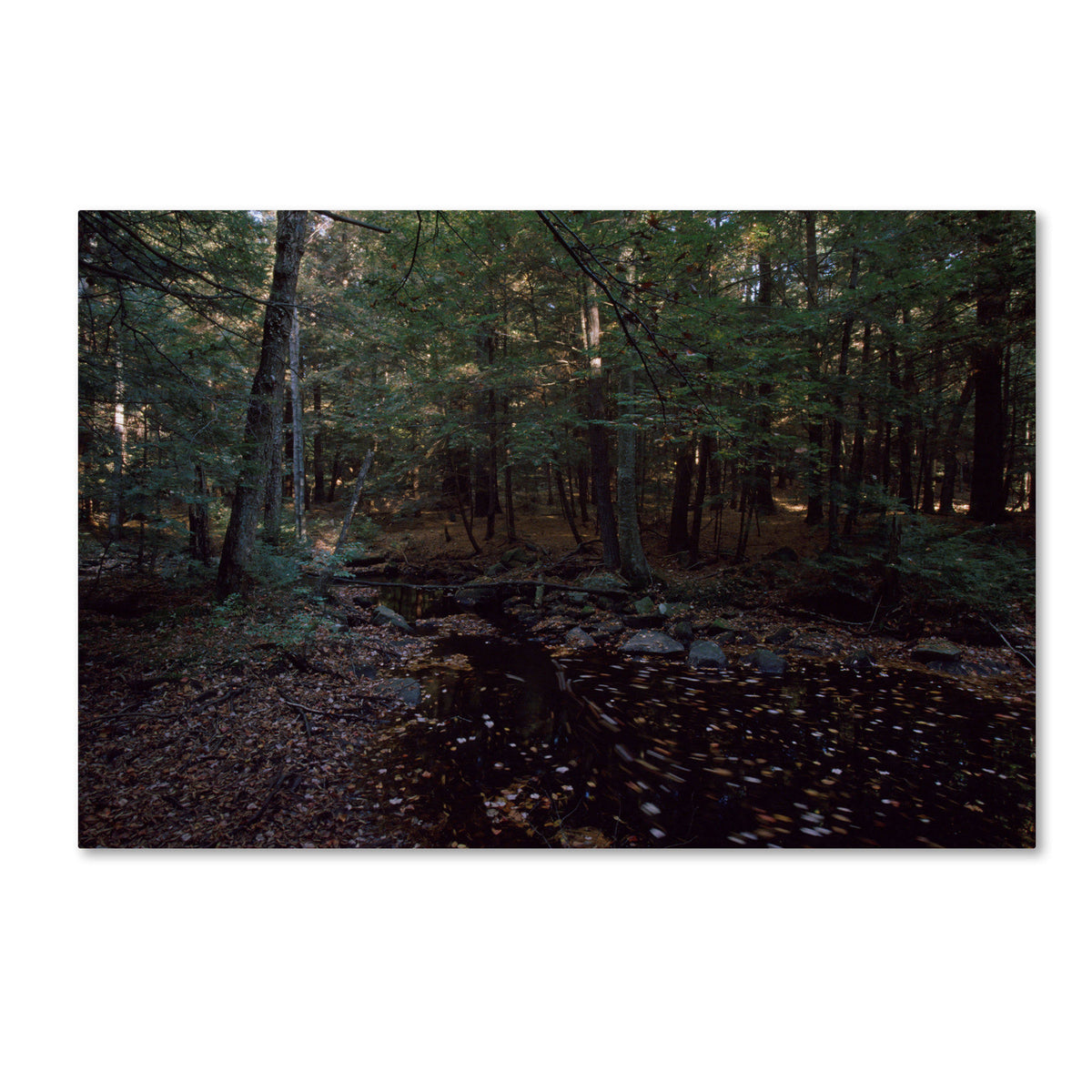 Canvas Art X817