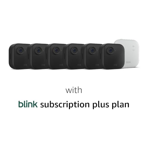 Wireless Security Camera System D4204