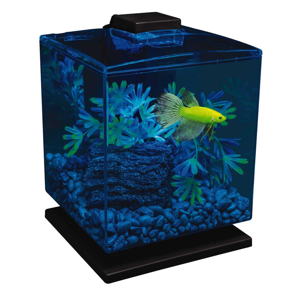 Aquarium Kit C70305