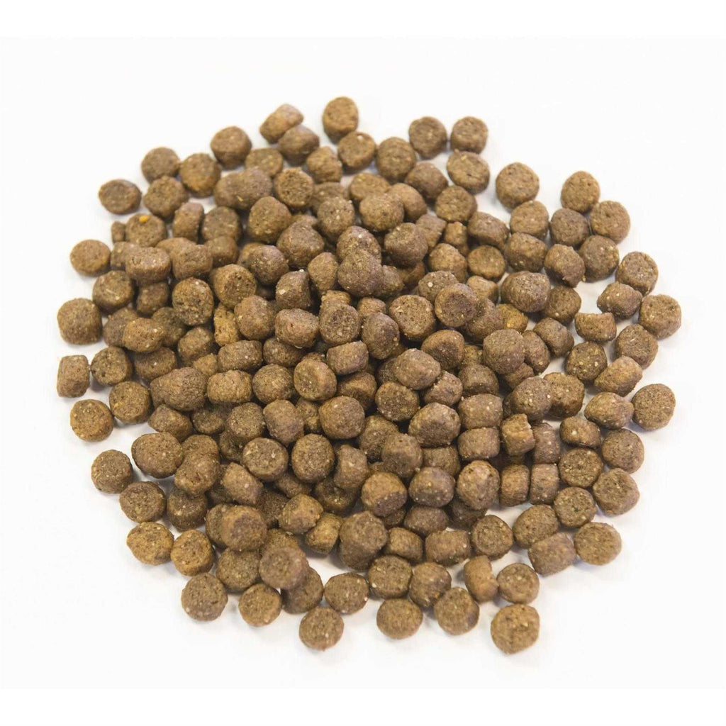 Chicken Meal with Ancient Grains Dog Food D7526