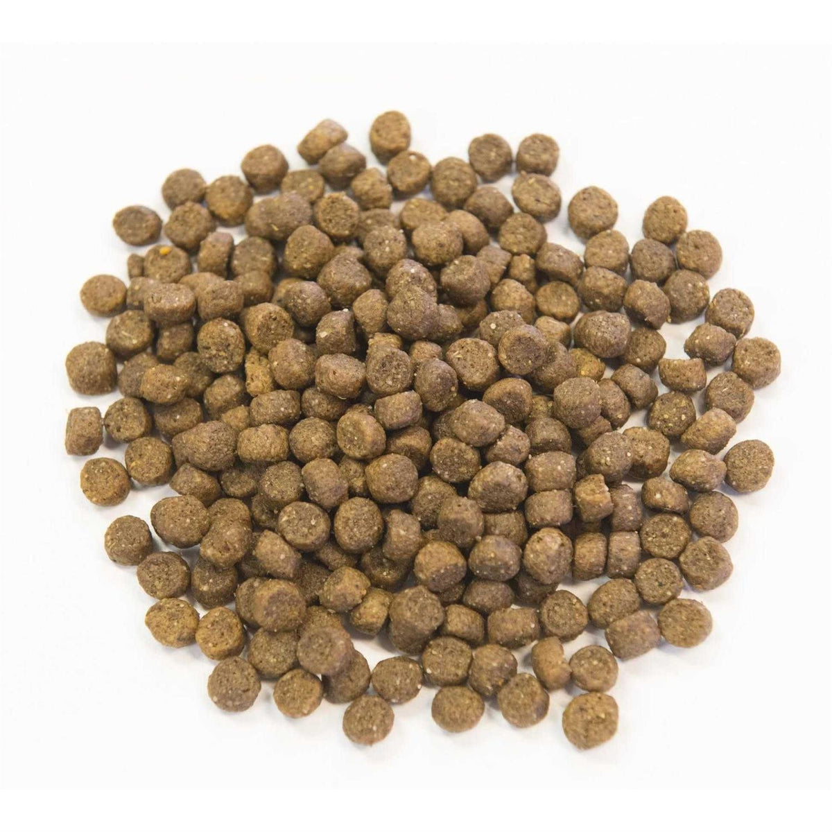 Chicken Meal with Ancient Grains Dog Food D7526