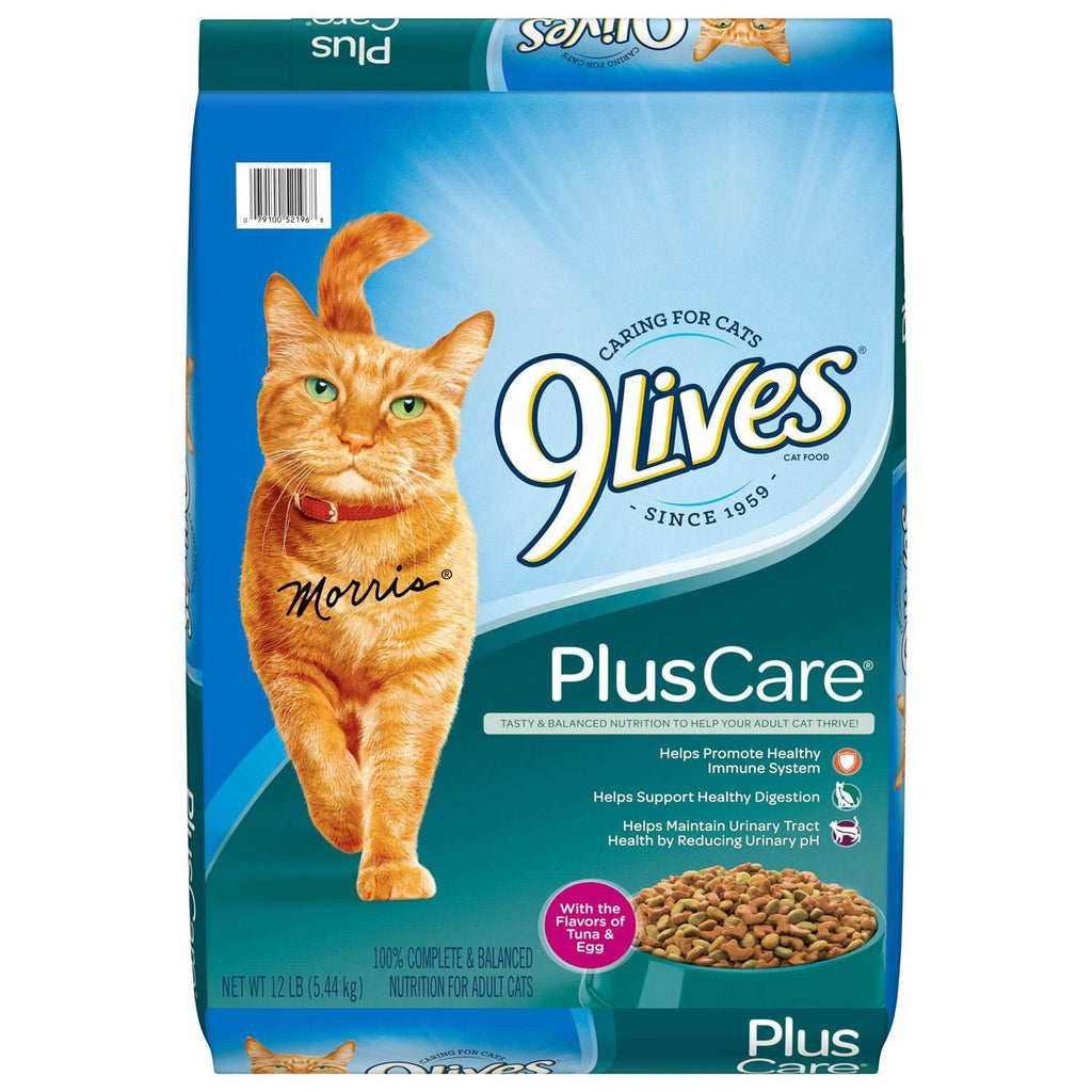 Dry Cat Food B6176