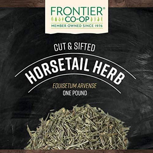Horsetail Herb Cut & Sifted 1 lb S874