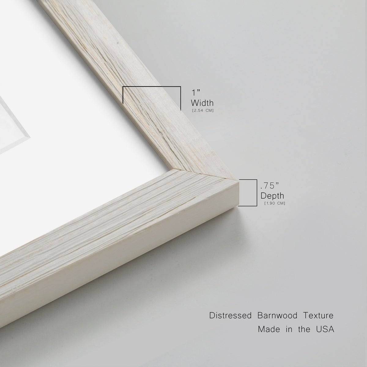 Framed Print - 23X32 - Walnut U147065