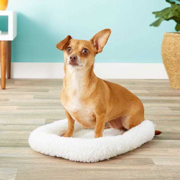 Pet Bed O887967