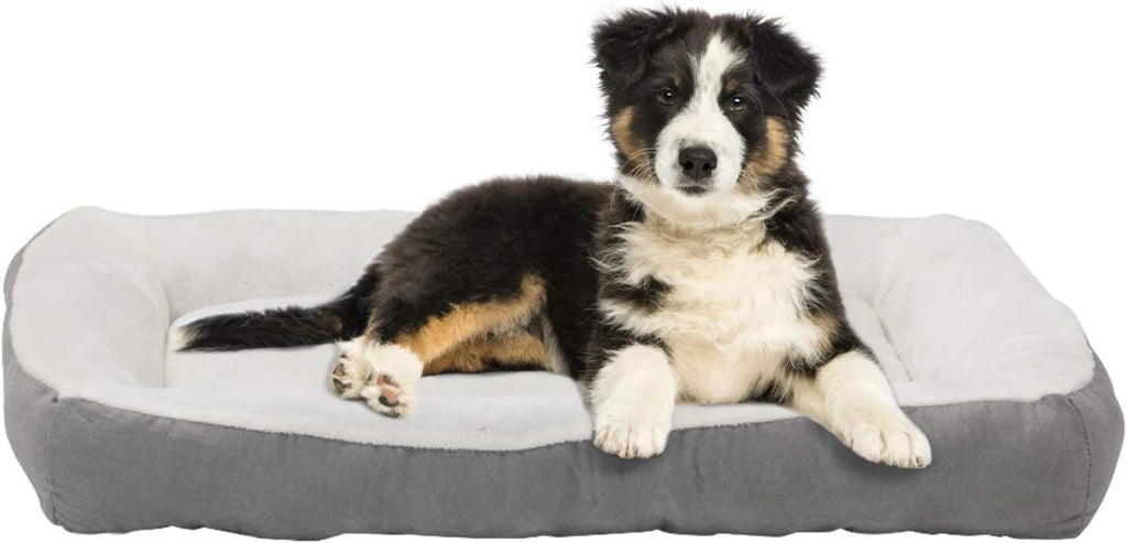 Gray Rectangle Pet Bed, 40 x 30 inches, Plush, Pack of 2 E26862