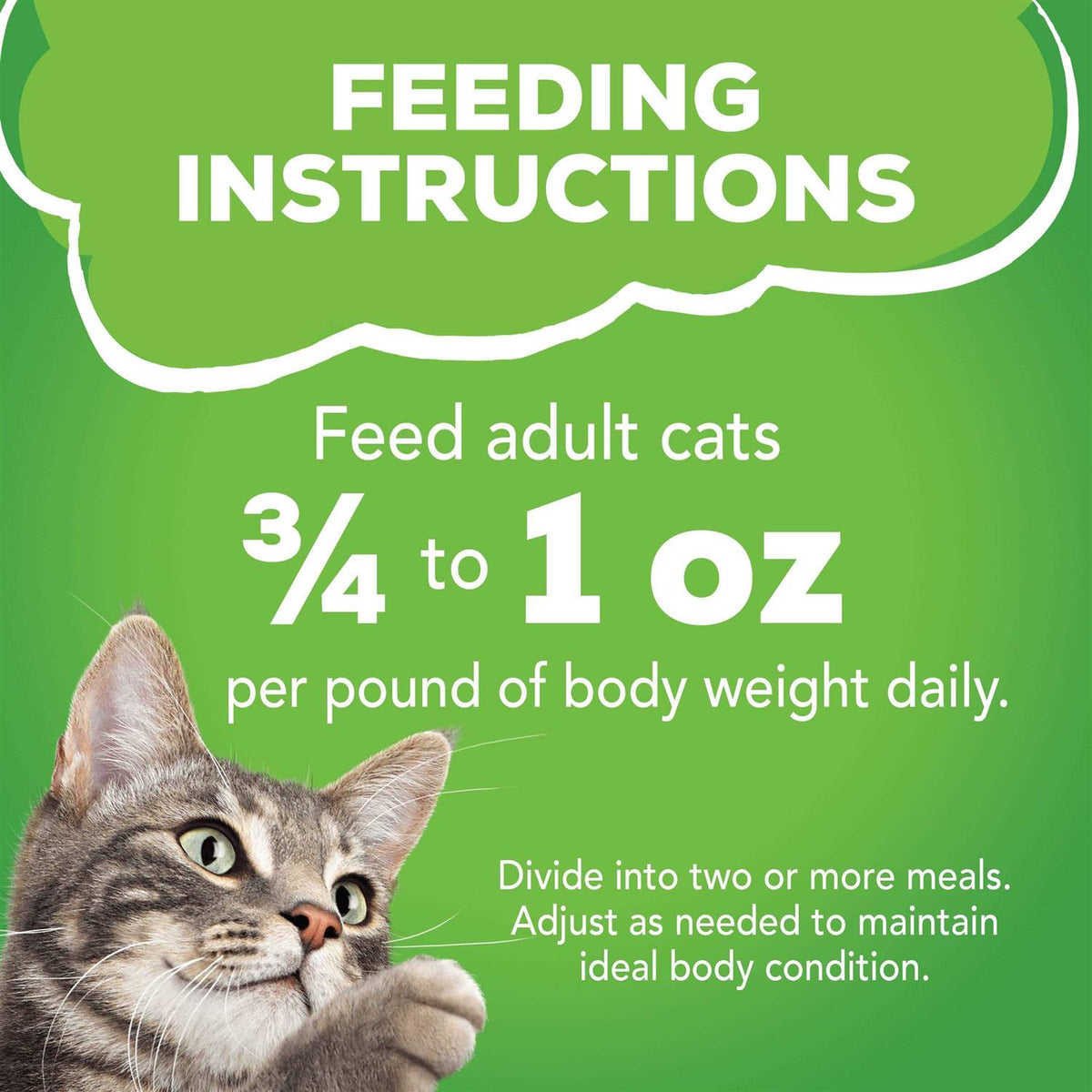 Salmon Turkey Mixed Grilled Wet Cat Food Variety Pack F293160