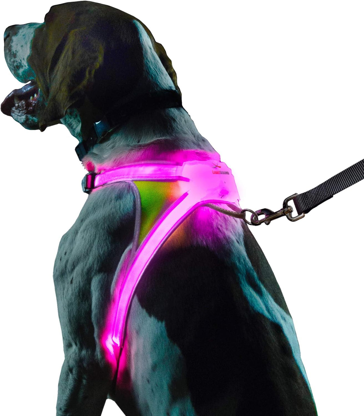 Multicolor LED Reflective Dog Harness Medium Pack of 2 C85878