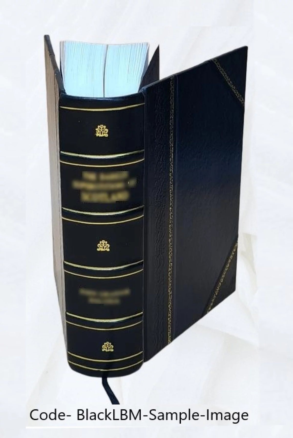 Letters and papers foreign and domestic of the reign of Henry VIII T6704