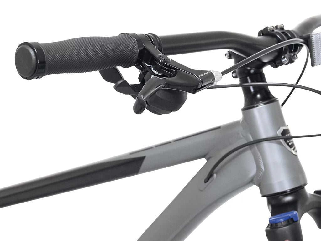 29" Men's Mountain Bike, Black and Taupe B20737