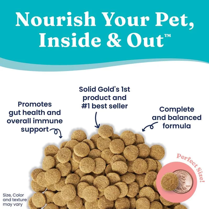 Solid Gold Hund-N-Flocken Holistic Adult Dry Dog Food, Lamb, 12lb. W564
