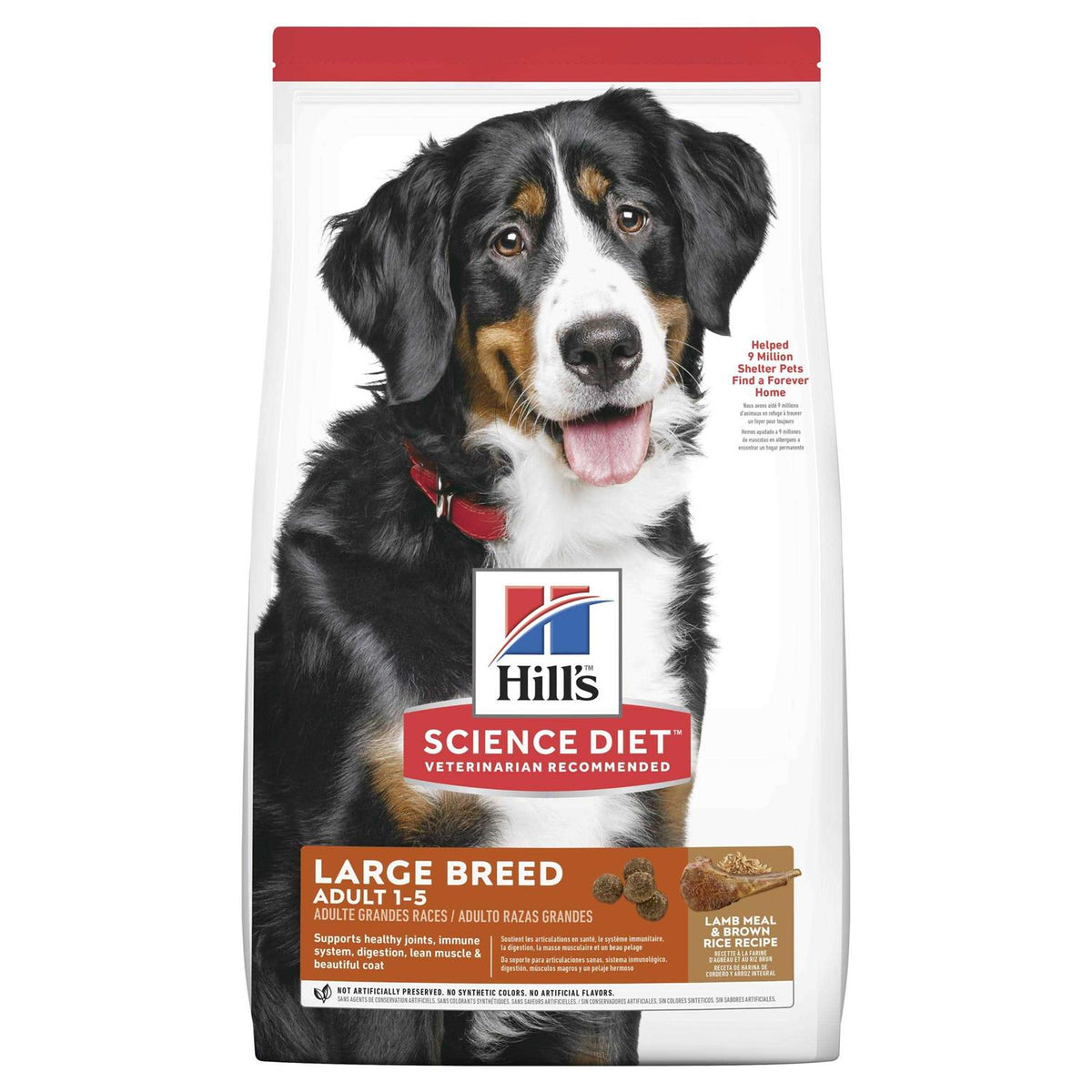 Adult Large Breed Lamb Meal & Brown Rice Dry Dog Food R84754