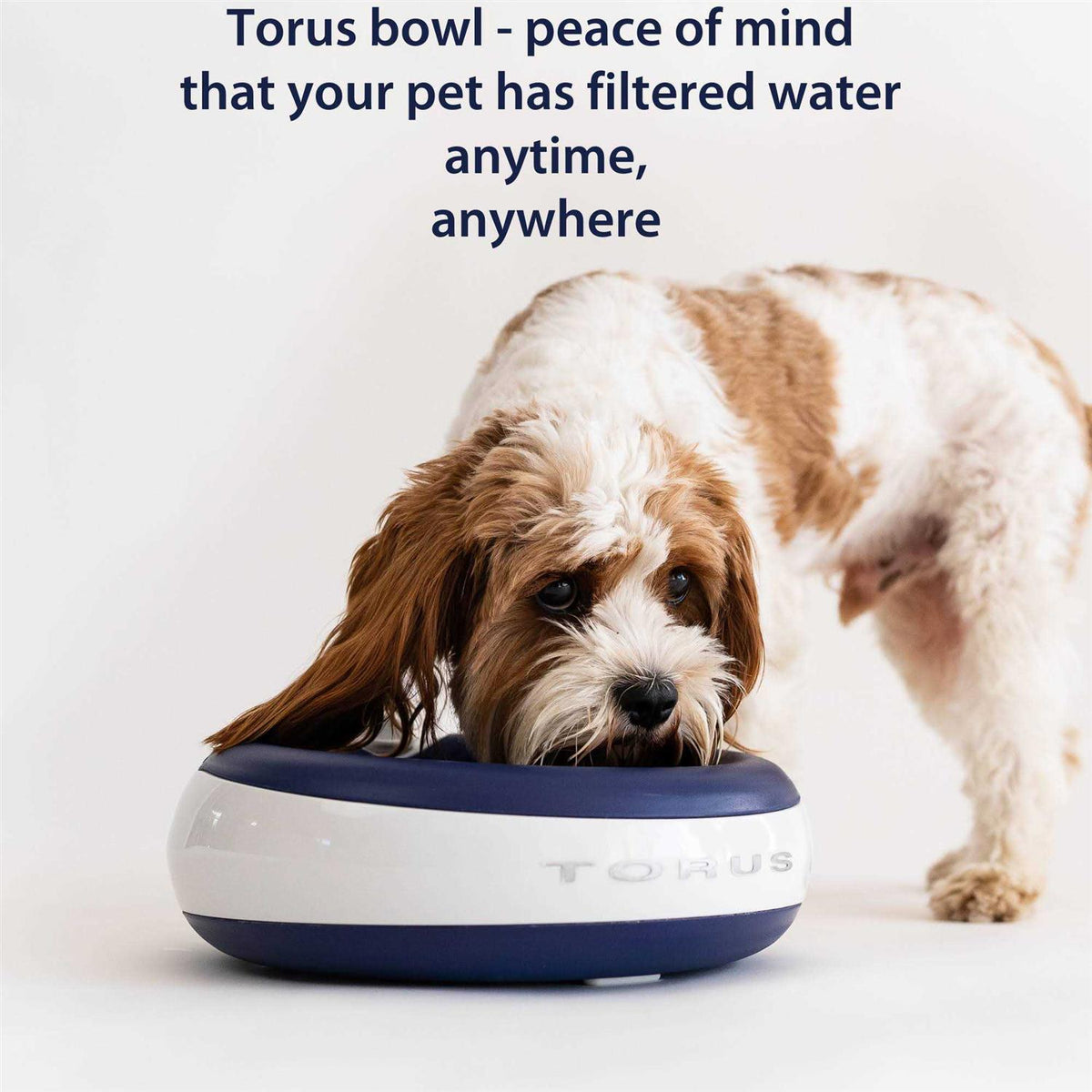 Filtered Water Bowl 2-Liter O66873