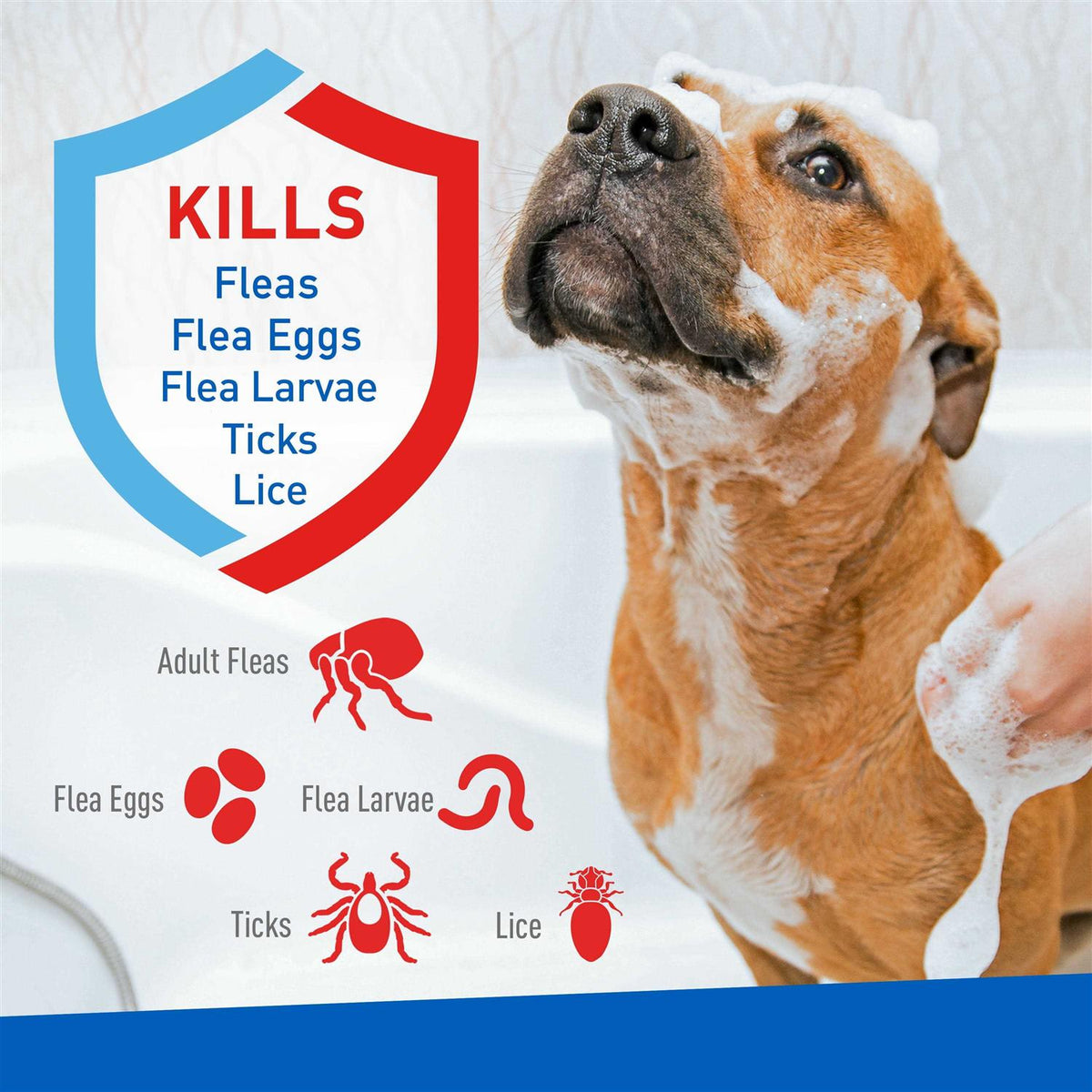 Flea Tick Shampoo T761289
