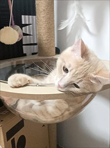 Wooden Large Cat Tree Floor to Ceiling Cat Tower Height Adjustable with Natural Sisal Rope Scratching Post Cozy Bed J840774