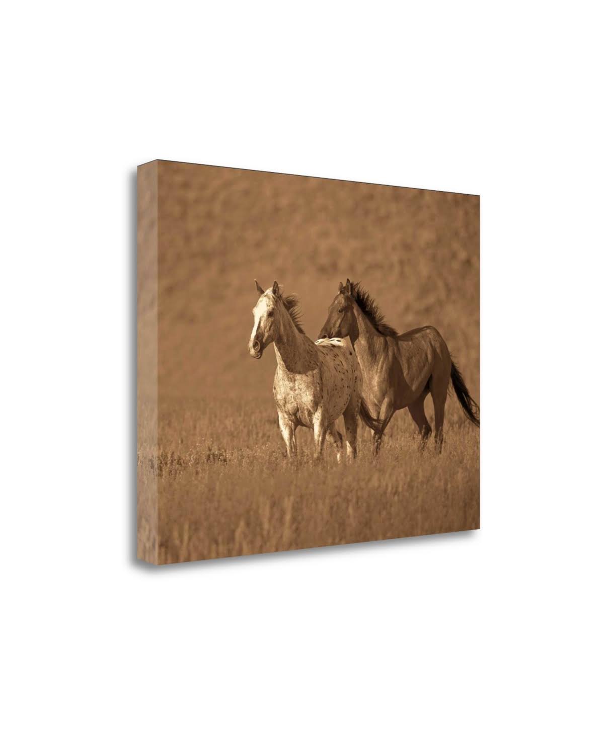 22x22 x 28x22 Fine Art Giclee Print O2211
