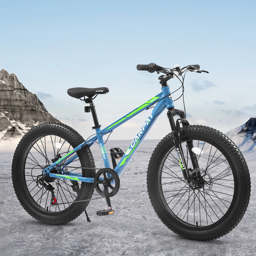 24 inch Fat Tire Mountain Bike V599989