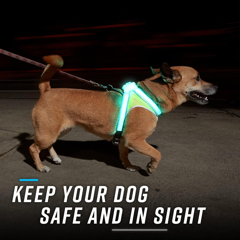 Multicolor LED Reflective Dog Harness Medium Pack of 2 C85878