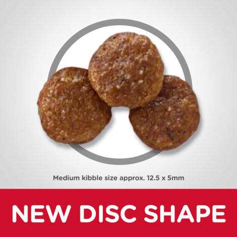 Chicken & Barley Recipe Dry Dog Food P3392