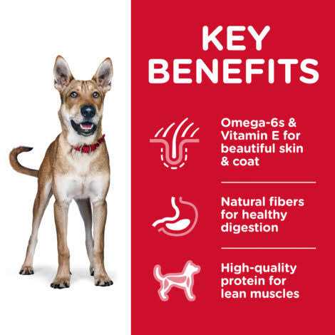 Chicken & Barley Recipe Dry Dog Food P3392