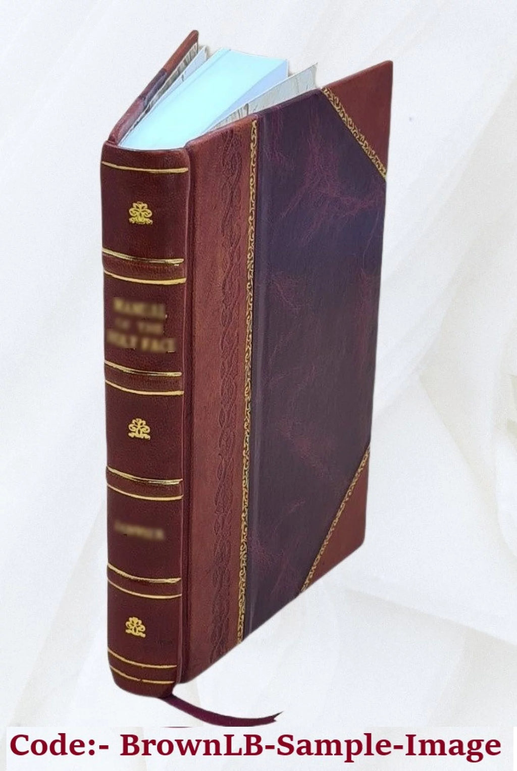 Poesías Volume 1 Leather Bound F873475