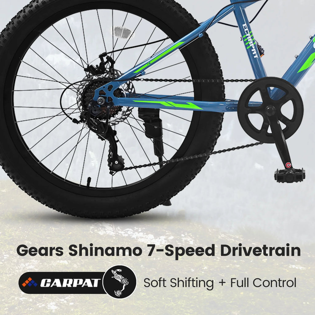 24 inch Fat Tire Mountain Bike V599989