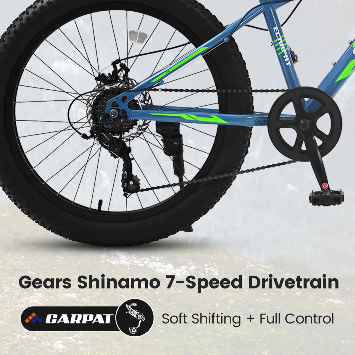 24 inch Fat Tire Mountain Bike V599989