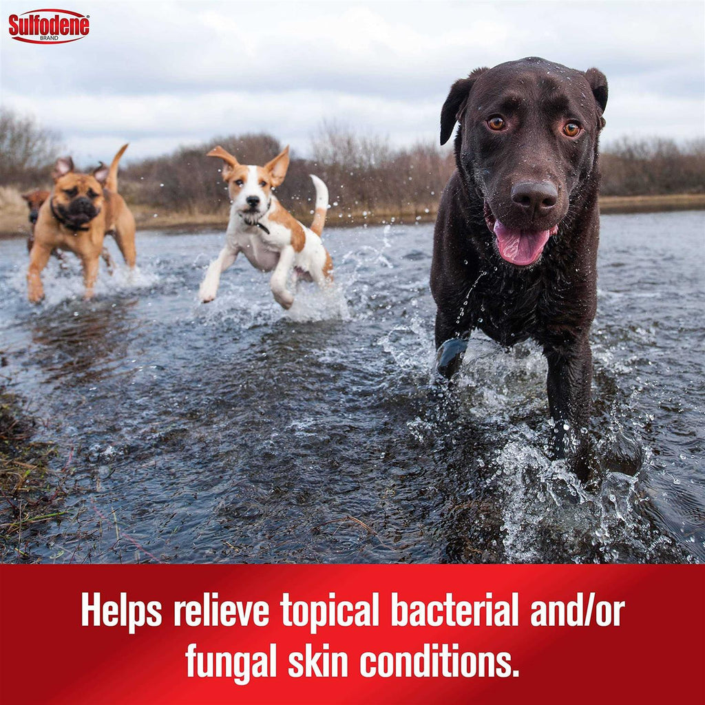 Dog Ointment Y7676