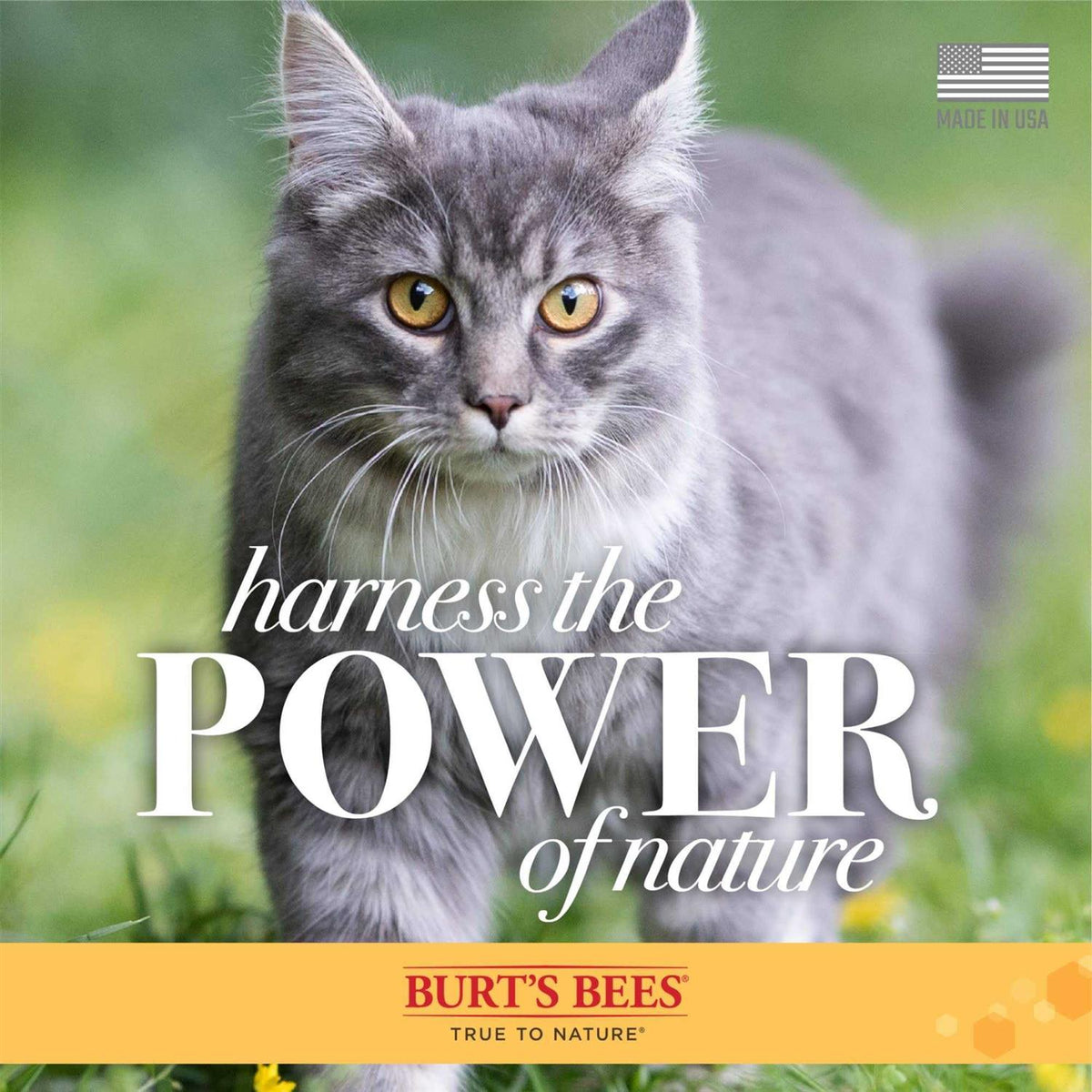Cat Wipes I7454