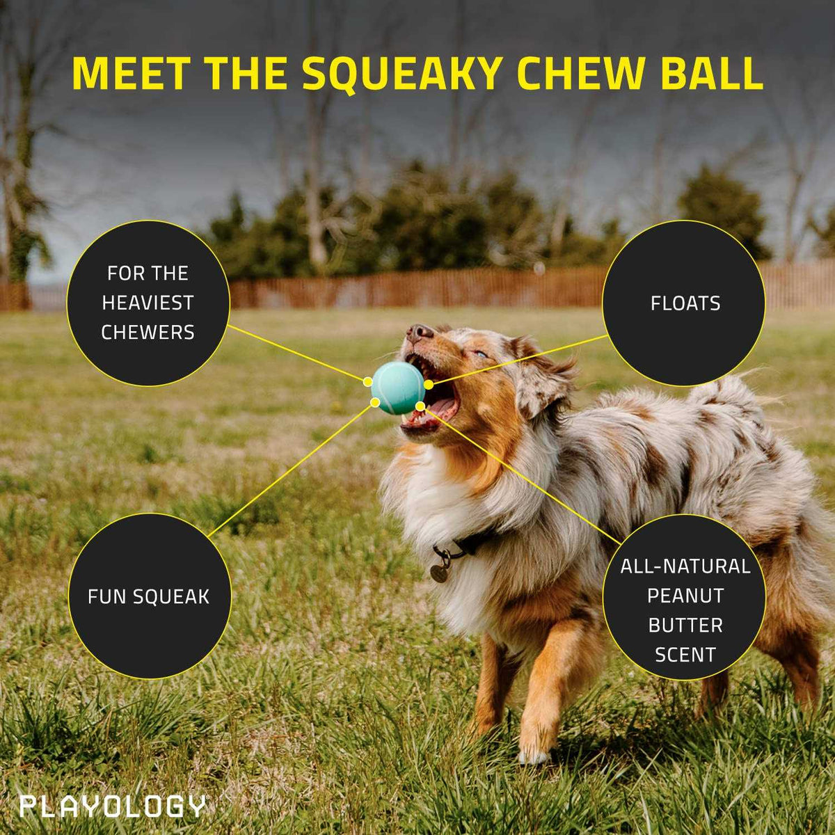 Squeaky Chew Ball Dog Toy F37564