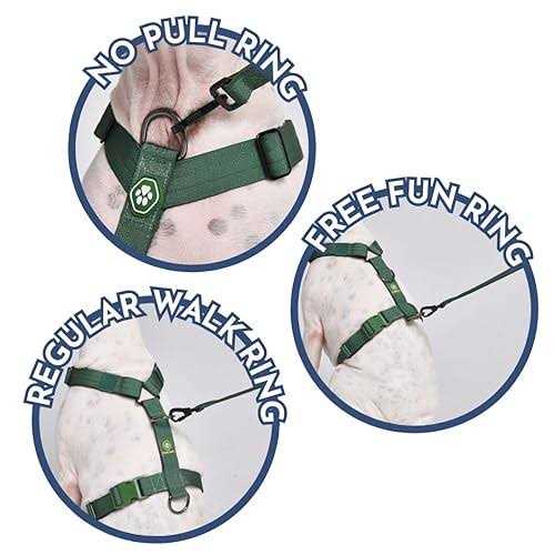 No-Pull Dog Harness D669935