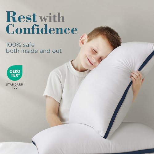 King Size Set of 2 Down Alternative Pillows U166676