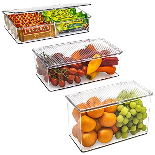 3 Pack Clear Plastic Storage Bins with Lids P4720
