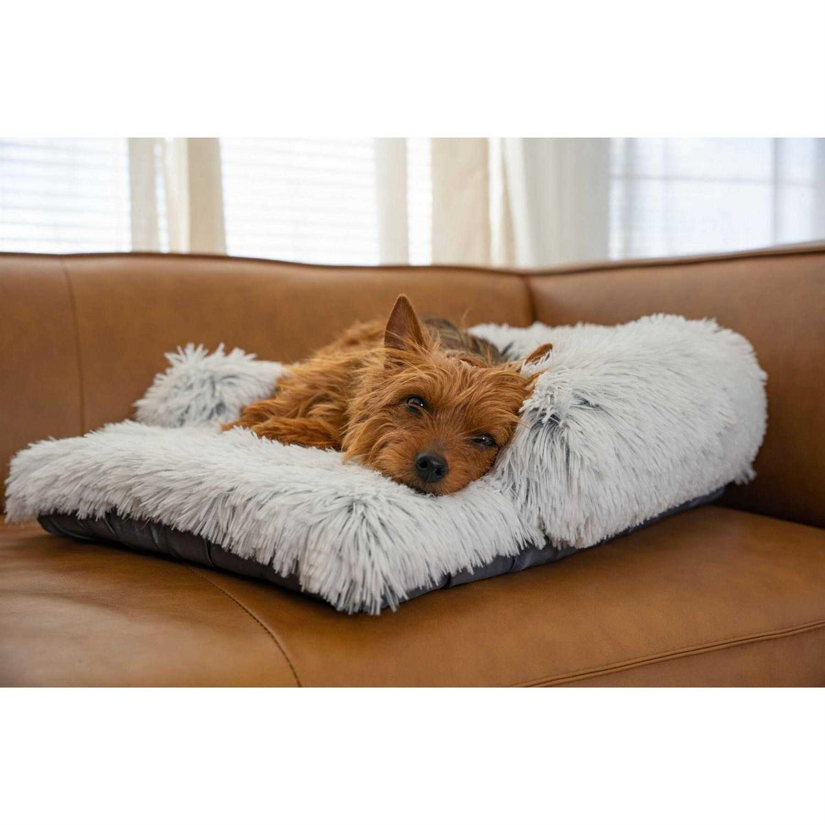 Dog Mat O631985