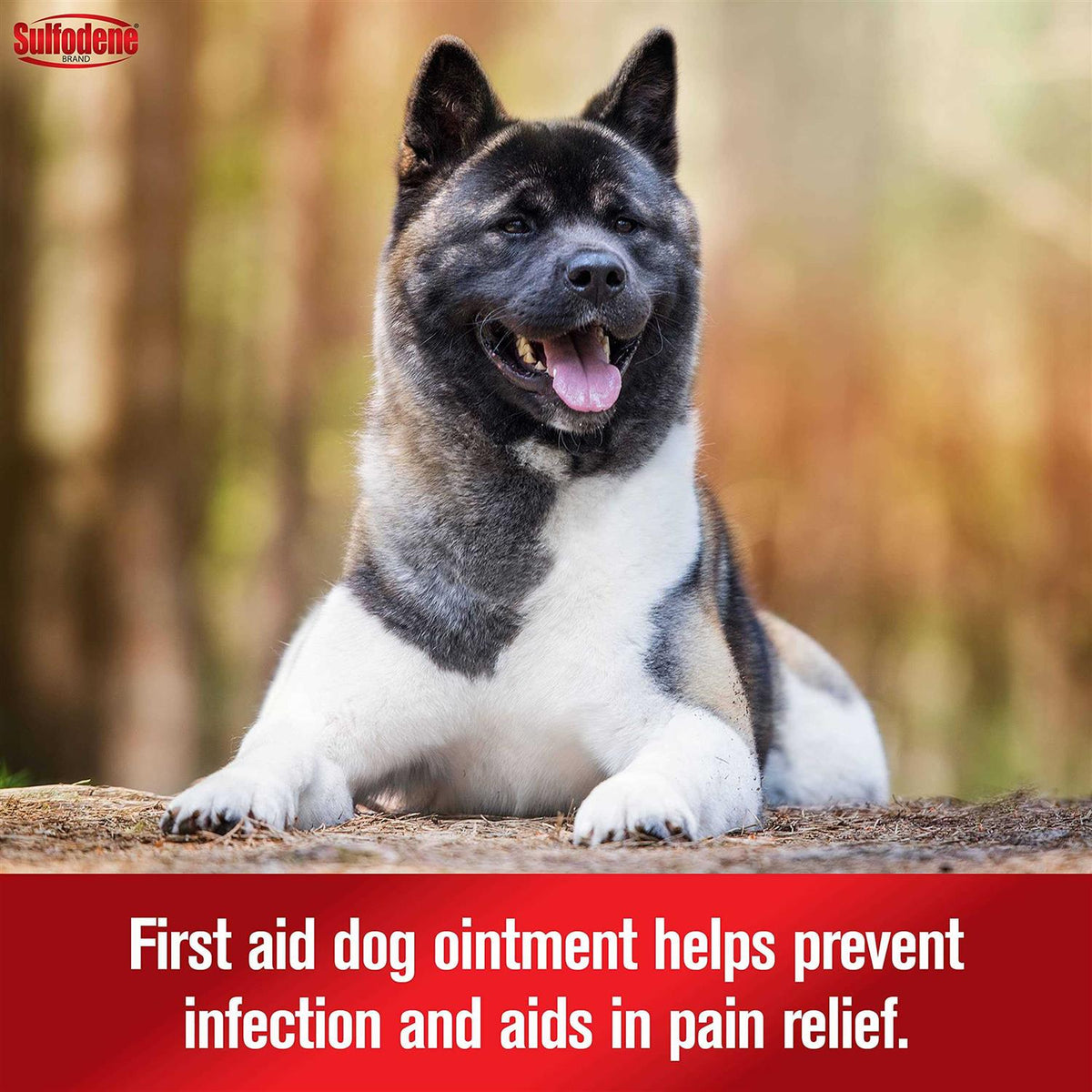 Dog Ointment Y7676