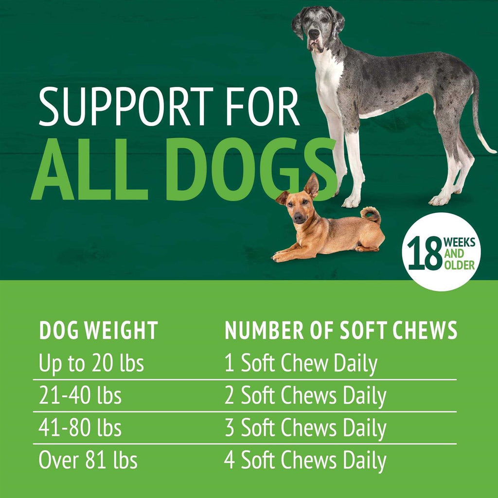 Skin & Coat Soft Chews R947917