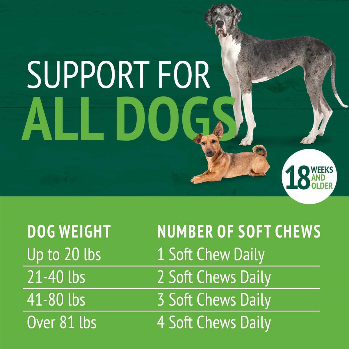 Skin & Coat Soft Chews R947917