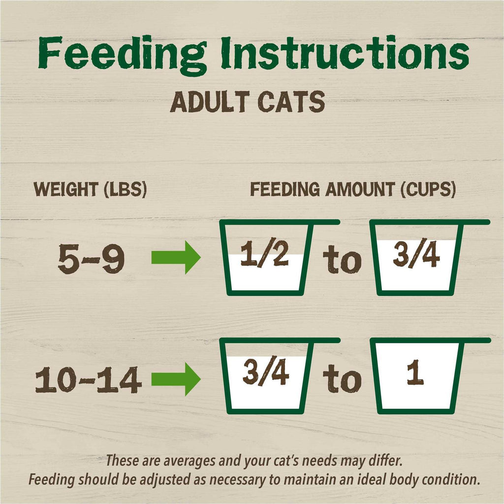 Dry Cat Food with Chicken B95848