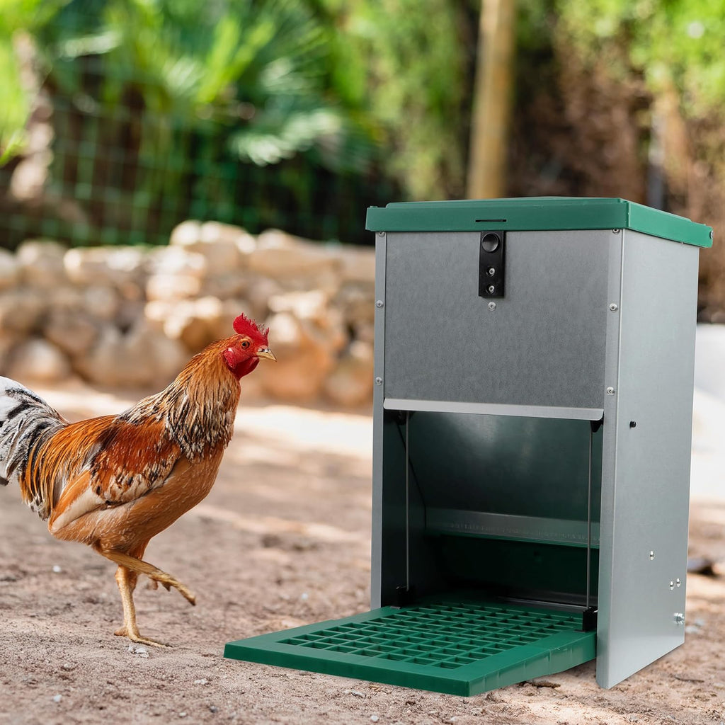 17.6 lb. Capacity Automatic Chicken Feeder O518842