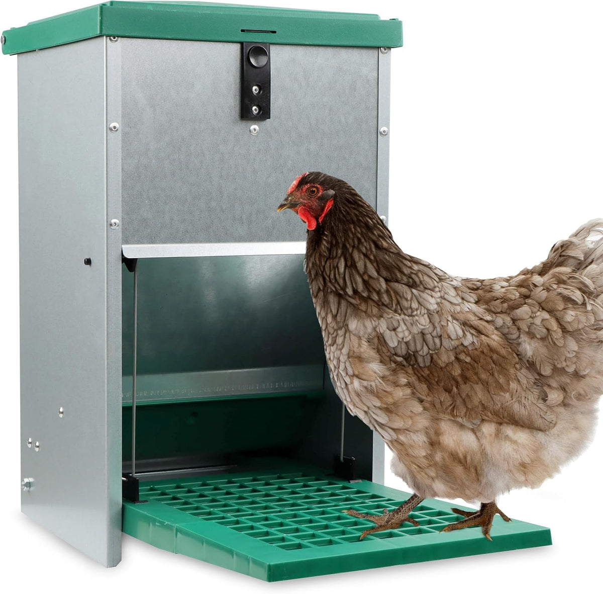 17.6 lb. Capacity Automatic Chicken Feeder O518842