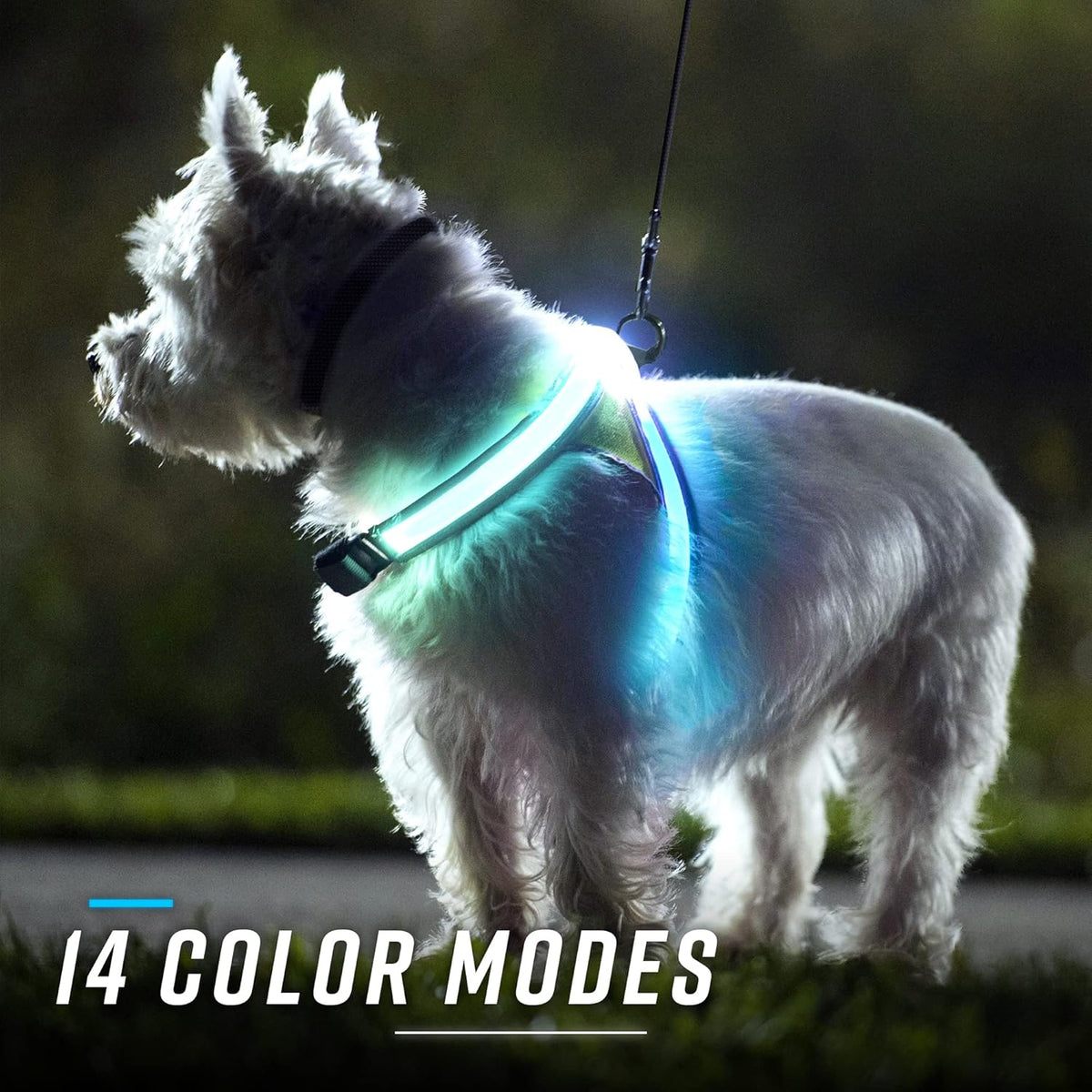 Multicolor LED Reflective Dog Harness Medium Pack of 2 C85878