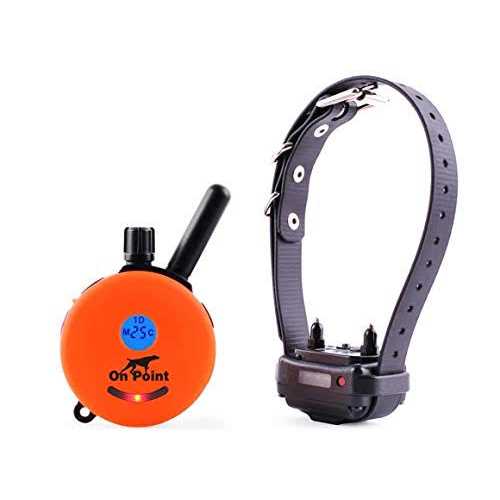 Remote Dog Training System C90945